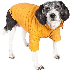 Pet Life Lightweight Sporty Avalanche Dog Coat, Yellow, X-Small
