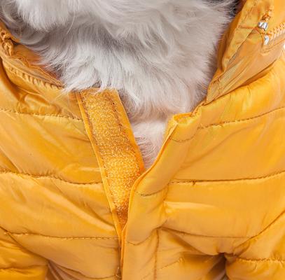 Show full view: Pet Life Lightweight Sporty Avalanche Dog Coat, Yellow, X-Small slide 6 of 10