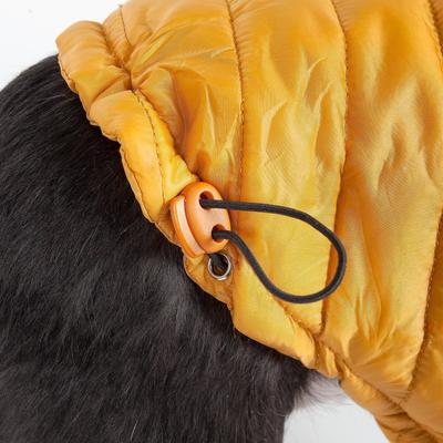 Show full view: Pet Life Lightweight Sporty Avalanche Dog Coat, Yellow, X-Small slide 7 of 10