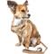 Show in main carousel: Pet Life Luxe Furracious 2-In-1 Mesh Reversible Dog Harness & Leash, Brown, Medium slide 3 of 7