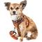 Show in main carousel: Pet Life Luxe Pawsh 2-In-1 Mesh Reversible Dog Harness-Leash, Small slide 3 of 11