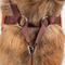 Show in main carousel: Pet Life Luxe Pawsh 2-In-1 Mesh Reversible Dog Harness-Leash, X-Small slide 5 of 11