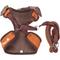 Show in main carousel: Pet Life Luxe Pawsh 2-In-1 Mesh Reversible Dog Harness-Leash, X-Small slide 7 of 11
