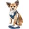 Show in main carousel: Pet Life Luxe Pom Draper 2-In-1 Mesh Reversible Dog Harness & Leash, X-Small slide 1 of 6