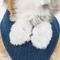 Show in main carousel: Pet Life Luxe Pom Draper 2-In-1 Mesh Reversible Dog Harness & Leash, X-Small slide 2 of 6