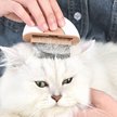 Show in main carousel: Pet Life LYNX 2-in-1 Travel Connecting Grooming Dog & Cat Comb & Deshedding Tool, Brown, Large slide 7 of 10