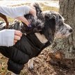 Show in main carousel: Pet Life Metallic Parka Dog Coat, Large, Black slide 7 of 11
