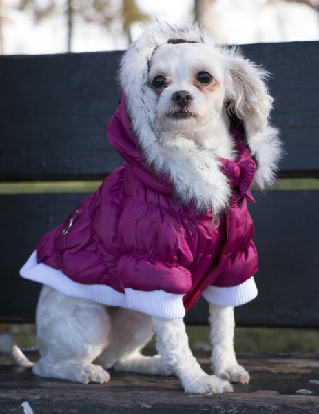 Show full view: Pet Life Metallic Parka Dog Coat, Medium, Pink slide 8 of 11