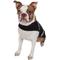 Show in main carousel: Pet Life Multi-Purpose Protective Shell Dog Coat, Black, Medium slide 5 of 10