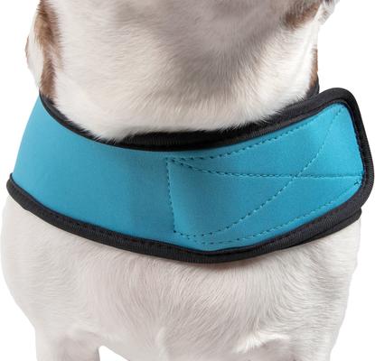 Show full view: Pet Life Multi-Purpose Protective Shell Dog Coat, Blue, Medium slide 4 of 7