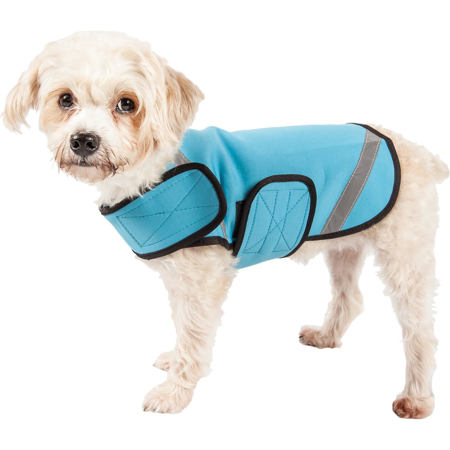 Pet Life Multi-Purpose Protective Shell Dog Coat, Blue, Small