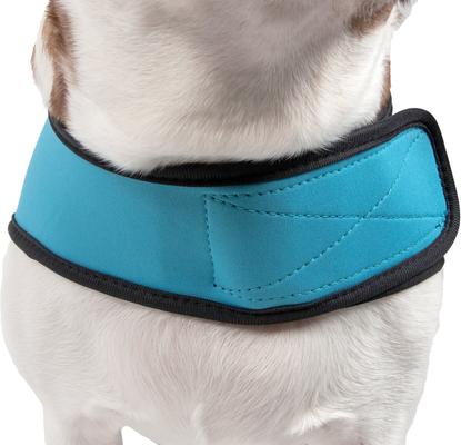 Show full view: Pet Life Multi-Purpose Protective Shell Dog Coat, Blue, Small slide 4 of 7