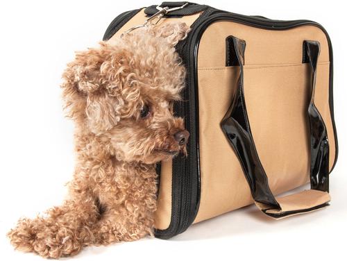 Show full view: Pet Life Mystique Airline Approved Fashion Dog Carrier, Khaki slide 3 of 8