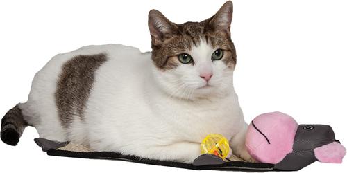 Show full view: Pet Life Paw-Pleasant Eco-Natural Sisal & Jute Hanging Carpet Kitty Cat Scratcher & Toy, Pink / Grey slide 3 of 4