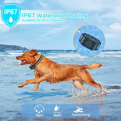 Show full view: Pet Life Ranger Sound Waterproof Dog Training Collar, Blue slide 7 of 9