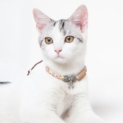 Pet Life Touchcat Lucky Charms Fashion Adjustable Cat Necklace/Collar with Designer Accent, Blue/Pink/Red/Yellow, 9.2-in neck, 3/8-in wide, 4 count