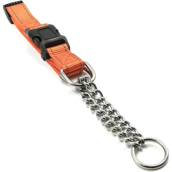 Mighty Paw Martingale Dog Training Collar