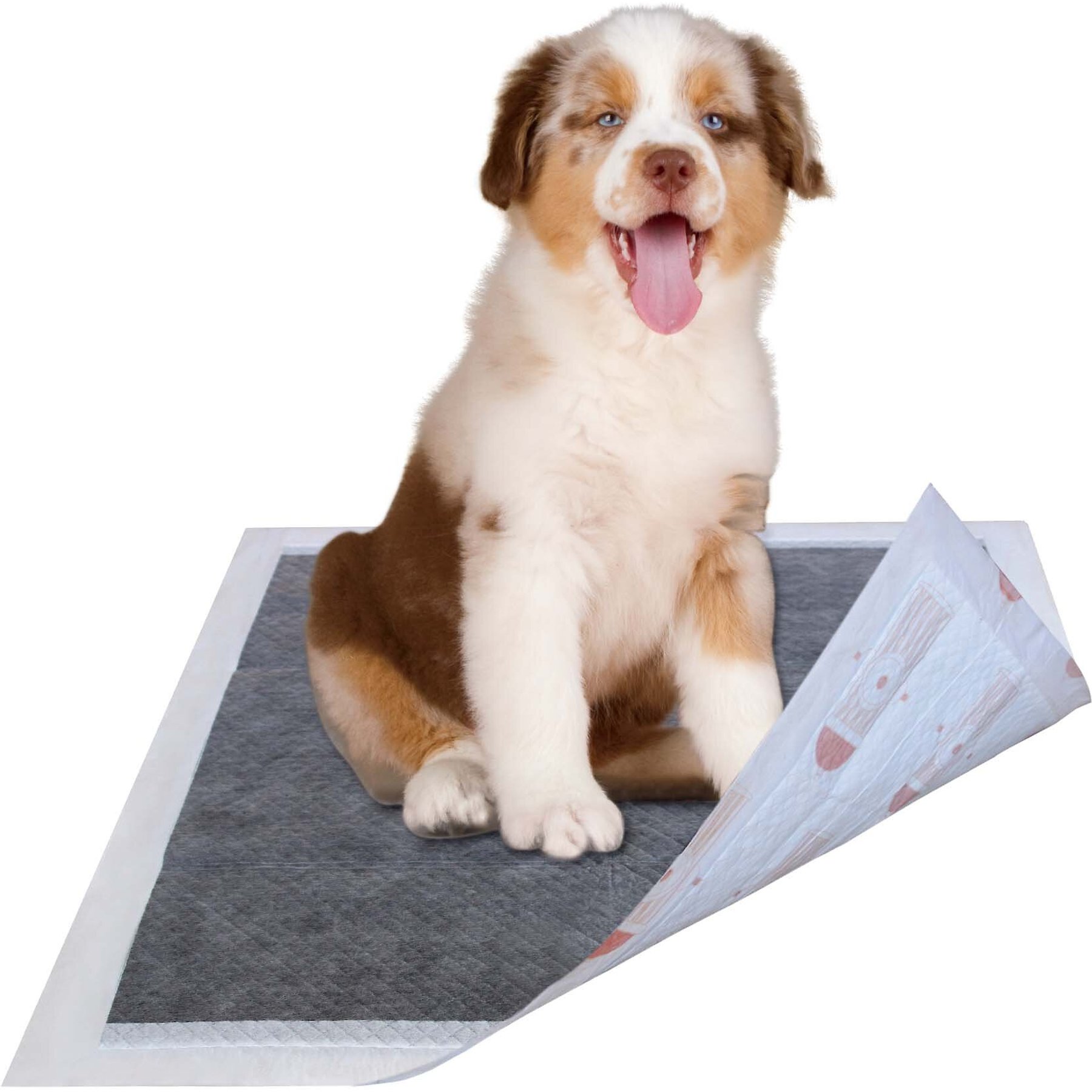 Pet Life Ultra Absorbent Odor Eliminating Dog Training Pads, 100 count