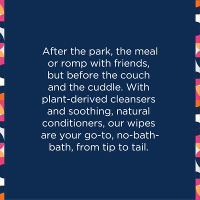 Show full view: Pet Life Unlimited Bergamot Apple Dog & Cat Grooming Wipes, 15 count slide 5 of 9