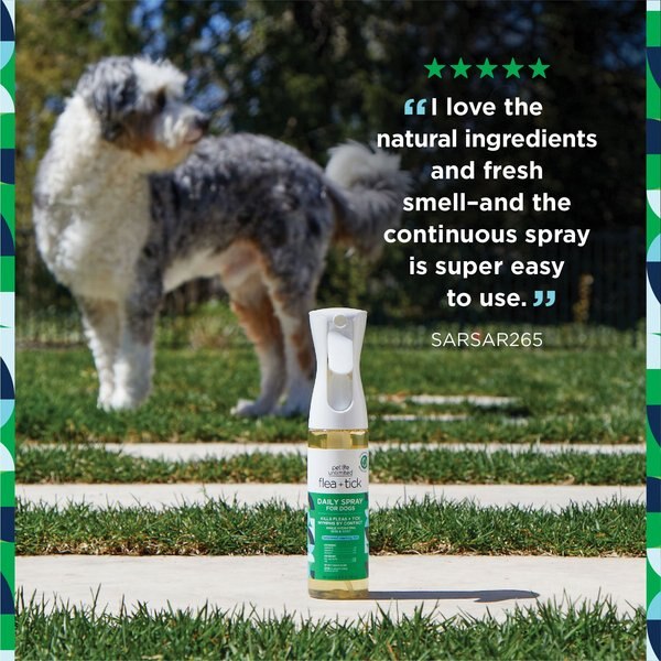 iGroom Freeze It Dog Hairspray, 10-fl oz bottle