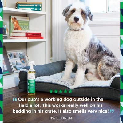 Show full view: Pet Life Unlimited Flea & Tick Home Treatment Dog Spray, 16-fl oz bottle slide 2 of 11