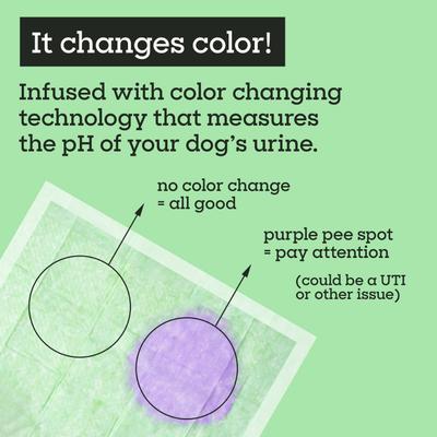Show full view: Pet Life Unlimited Health Tracker Dog Pee Pads, Large: 22 x 22-in, Unscented, 10 count slide 5 of 9
