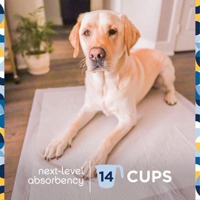 Show full view: Pet Life Unlimited Heavy Duty Dog Pee Pads, Clover Leaf Scent, 3X-Large: 36 x 36-in, 25 count slide 4 of 11