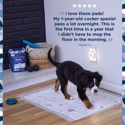 Pet Life Unlimited Overnight Smart Prints Dog Pee Pads, Chamomile Vanilla Scent, XX-Large: 36 x 30-in, 14 count slide 2 of 9