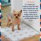 Show in main carousel: Pet Life Unlimited Smart Prints Dog Pee Pads, Sweet Bluegrass Scent, Large: 22 x 22-in, 40 count slide 2 of 11