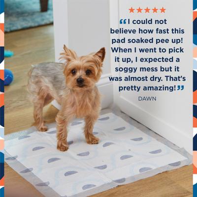 Show full view: Pet Life Unlimited Smart Prints Dog Pee Pads, Sweet Bluegrass Scent, Large: 22 x 22-in, 40 count slide 2 of 11