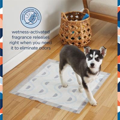 Show full view: Pet Life Unlimited Smart Prints Dog Pee Pads, Sweet Bluegrass Scent, Large: 22 x 22-in, 40 count slide 3 of 11