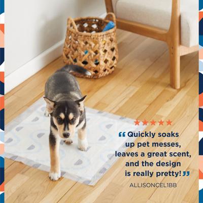 Show full view: Pet Life Unlimited Smart Prints Dog Pee Pads, Sweet Bluegrass Scent, Large: 22 x 22-in, 75 count slide 2 of 11