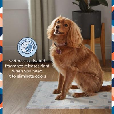 Show full view: Pet Life Unlimited Smart Prints Dog Pee Pads, Sweet Bluegrass Scent, Large: 22 x 22-in, 75 count slide 3 of 11