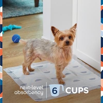 Show full view: Pet Life Unlimited Smart Prints Dog Pee Pads, Sweet Bluegrass Scent, Large: 22 x 22-in, 75 count slide 4 of 11