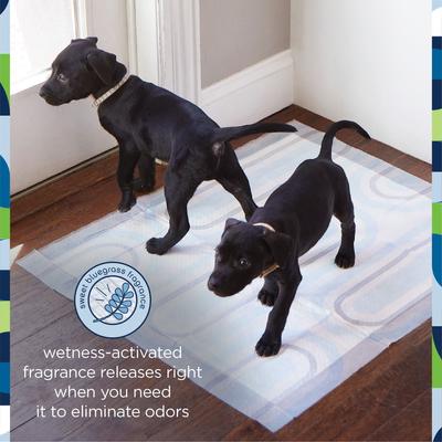 Show full view: Pet Life Unlimited Smart Prints Dog Pee Pads, Sweet Bluegrass Scent, X-Large: 30 x 26-in, 25 count slide 4 of 12