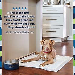 Pet Life Unlimited Smart Prints Dog Pee Pads, Sweet Bluegrass Scent, X-Large: 30 x 26-in, 25 count slide 2 of 9