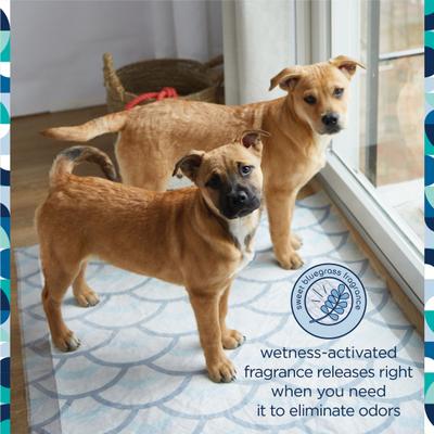 Show full view: Pet Life Unlimited Smart Prints Dog Pee Pads, Sweet Bluegrass Scent, XX-Large: 36 x 30-in, 30 count slide 3 of 10