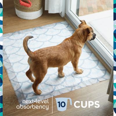 Show full view: Pet Life Unlimited Smart Prints Dog Pee Pads, Sweet Bluegrass Scent, XX-Large: 36 x 30-in, 30 count slide 4 of 10