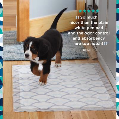 Show full view: Pet Life Unlimited Smart Prints Dog Pee Pads, Sweet Bluegrass Scent, XX-Large: 36 x 30-in, 30 count slide 2 of 10