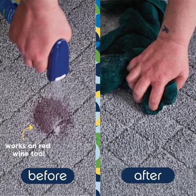 Show full view: Pet Life Unlimited Stain & Odor Eliminator, Juniper Leaf Scent, 16-fl oz bottle slide 5 of 11