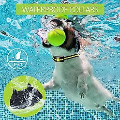 Pet Life Yard-Trek Waterproof Dog Training Collar, Yellow slide 2 of 9
