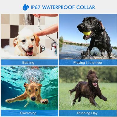 Show full view: Pet Life Yard-Trek Waterproof Dog Training Collar, Yellow slide 8 of 9