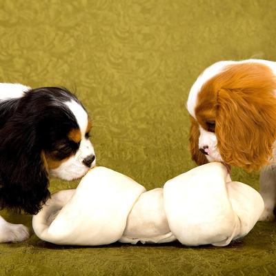 Show full view: Pet Magasin Rawhide Bones Dog Treats, 10 count, 6 - 7-in slide 6 of 9