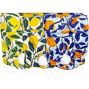 Pet Magasin Reusable Washable Dog Diapers, 3 count, Botanical Fruit, X-Large: 24 to 32-in waist