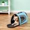 Show in main carousel: Pet Magasin Soft-Sided Airline-Approved Dog & Cat Carrier Bag, Blue slide 1 of 9