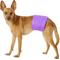 Show in main carousel: Pet Magasin Washable Belly Nappies Male Dog Wraps, Colorful, Medium: 15 to 21-in waist, 3 count slide 7 of 11