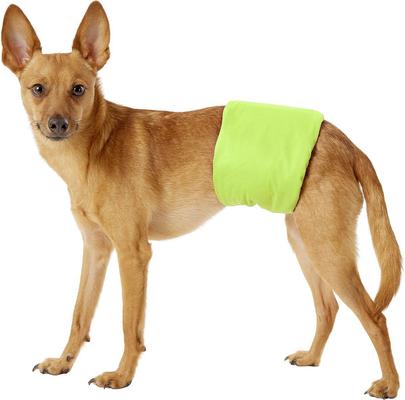 Show full view: Pet Magasin Washable Belly Nappies Male Dog Wraps, Colorful, Medium: 15 to 21-in waist, 3 count slide 8 of 11
