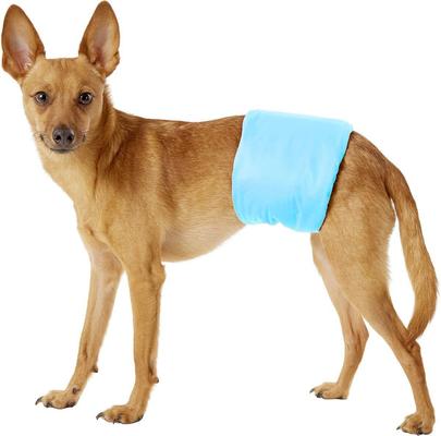 Show full view: Pet Magasin Washable Belly Nappies Male Dog Wraps, Colorful, Medium: 15 to 21-in waist, 3 count slide 9 of 11