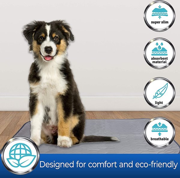 Pet Magasin Washable Pet Training Pads, 3 count