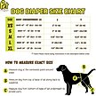 Show in main carousel: Pet Magasin Washable Female Dog Diapers, Botanical Fruit, 3 count, Large slide 6 of 7